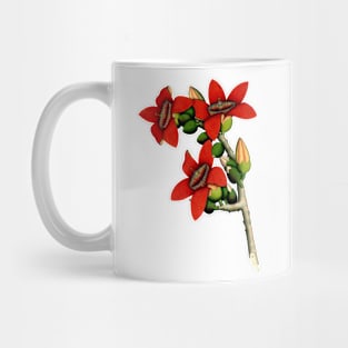 Red Cotton Tree Flowers 1800 Calcutta India Mug